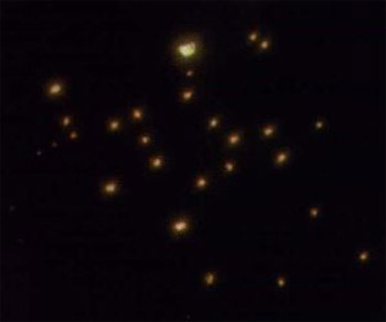 Ufo nel cielo